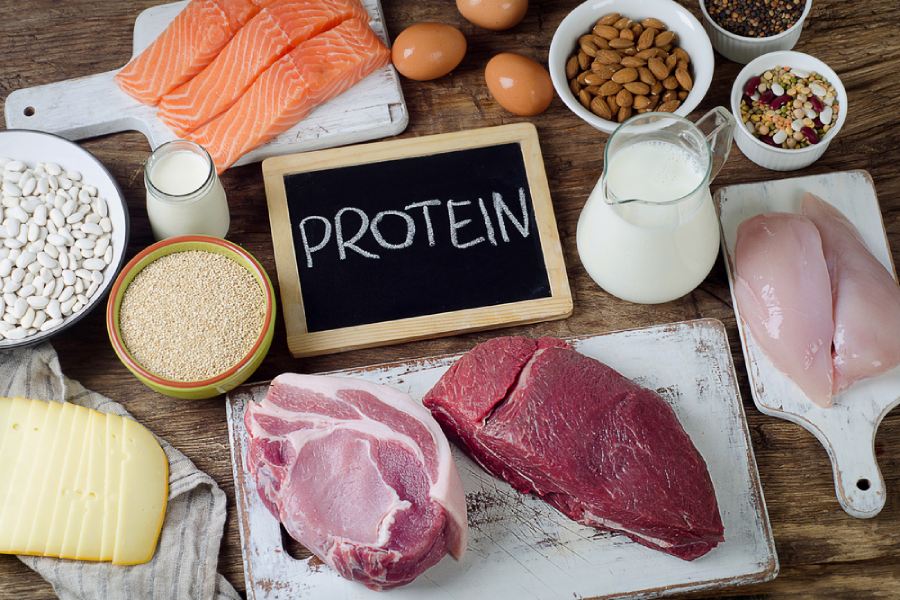 دلایل علمی برای میزان مصرف پروتئین